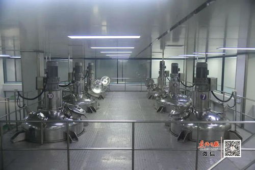 隱形冠軍 走到舞臺(tái)中央 寫在溫縣通過 中國速食調(diào)味料之都 評(píng)審時(shí)